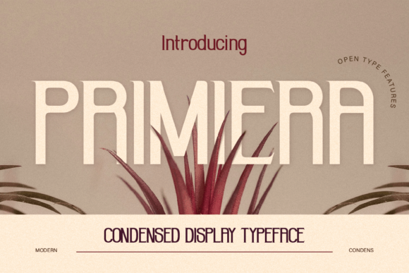 Download Primiera - Premium Resources